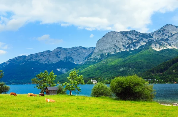 Alpine summer lake view — Stock Photo, Image