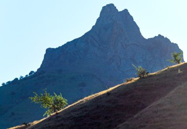 dağ yamacı akşam üzerinde yalnız ağaçlar