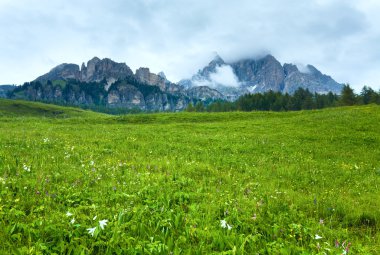 Dolomites mountain summer view clipart