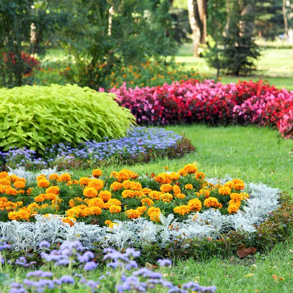 Aménagement paysager floral — Photo