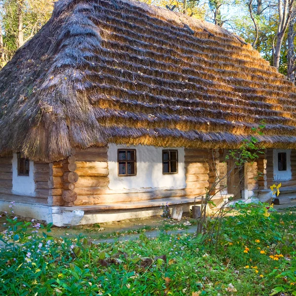 Cabaña de madera de campo histórico con techo de paja — Foto de Stock