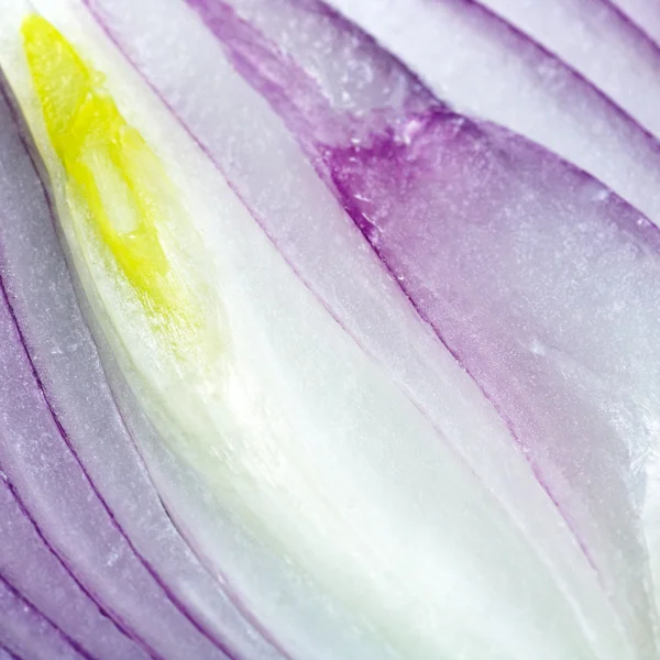 Bombilla de cebolla violeta partida — Foto de Stock