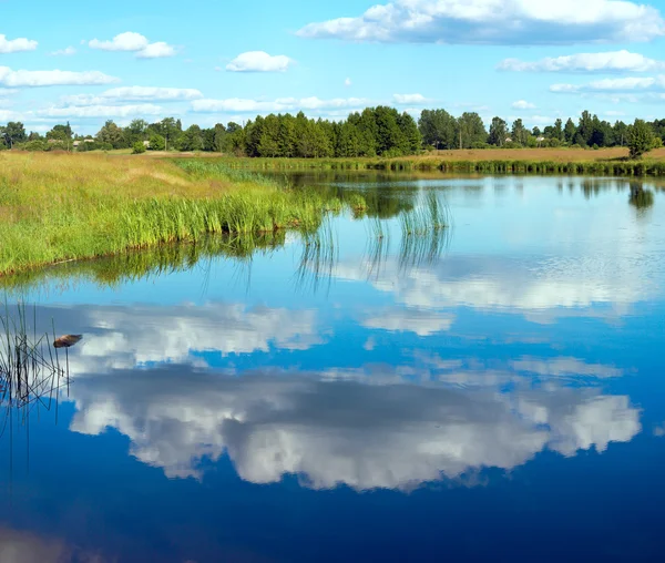 Літнє русяве озеро вид — стокове фото