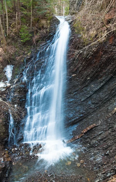 Cachoeira e riacho na ravina da floresta de montanha — Fotografia de Stock