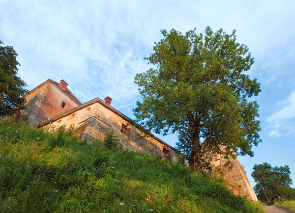 Letni wieczór svirzh zamek widok (Ukraina). — Zdjęcie stockowe