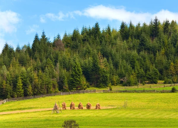 Летние поля с стогами сена — стоковое фото