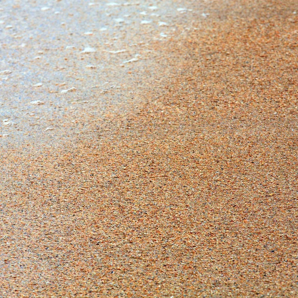 Zand - cockleshell natte zee achtergrond — Stockfoto