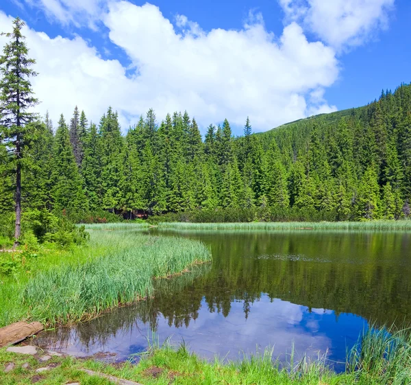 夏の山の森の湖 — ストック写真