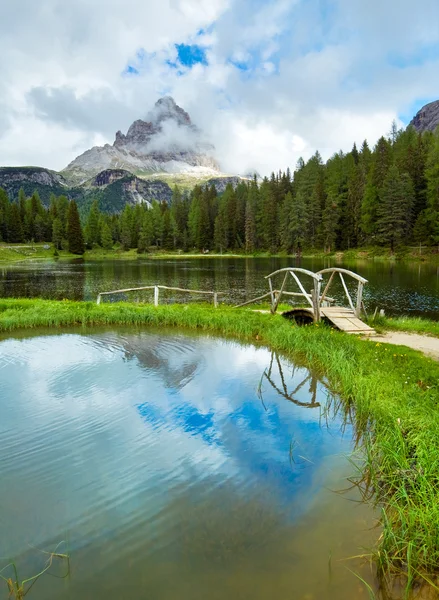 Alpesi nyár tóra néző — Stock Fotó