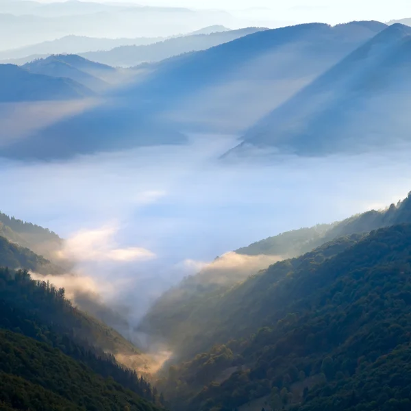 Góry mgliste Przedświt — Zdjęcie stockowe