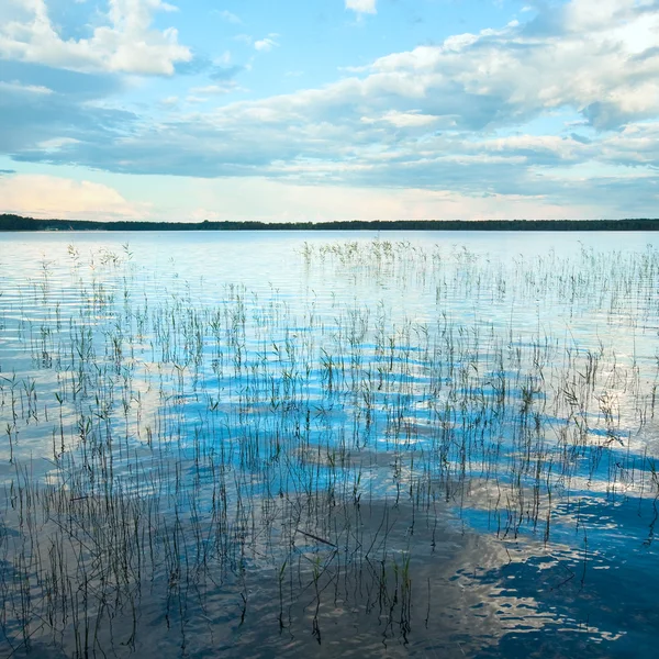 Lago apresurado de verano —  Fotos de Stock