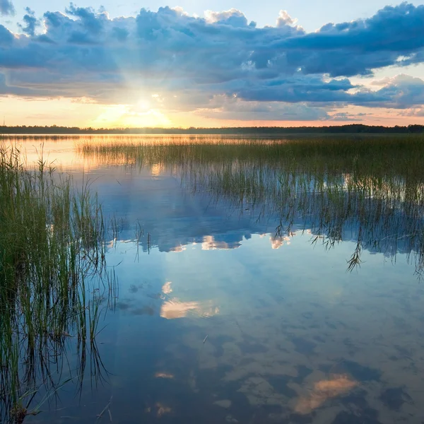 Літній rushy озеро панорамою заходу сонця — стокове фото