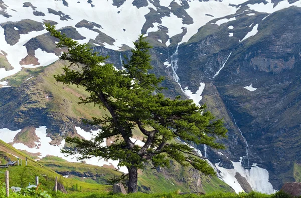 Alpes vista de verão — Fotografia de Stock