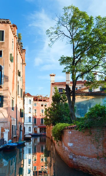 Benátky pohled se stromem — Stock fotografie