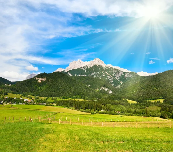 Alpes vista verano —  Fotos de Stock