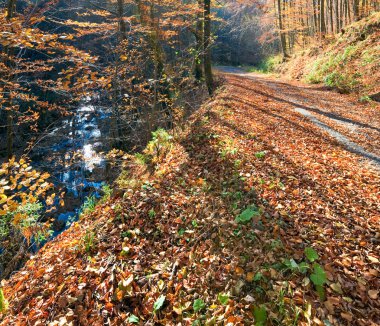 sonbahar dağ kirli yolu