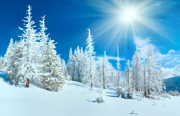 Vintern bergspanorama — Stockfoto