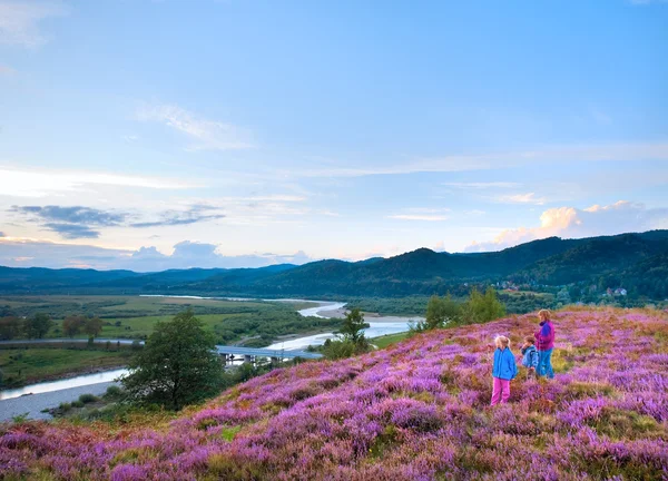 Verão urze flor colina e família no topo da colina — Fotografia de Stock