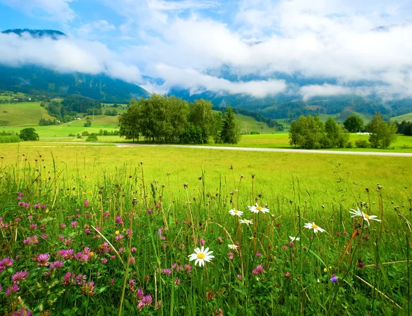 Widoki na Alpy łąka lato — Zdjęcie stockowe