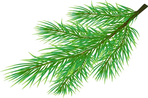Ramita de pino — Vector de stock