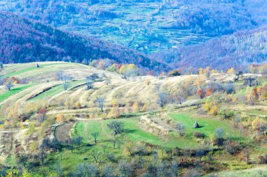 sonbahar ülkenin peyzaj (Karpat, Ukrayna).
