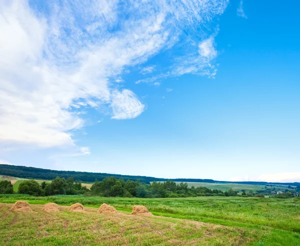 Sommar fält med höstackar — Stockfoto