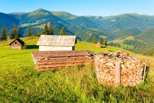 Brennholzstapel auf Sommerbergen — Stockfoto