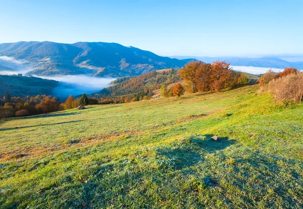 Jesienny poranek mglisty górskie hill — Zdjęcie stockowe