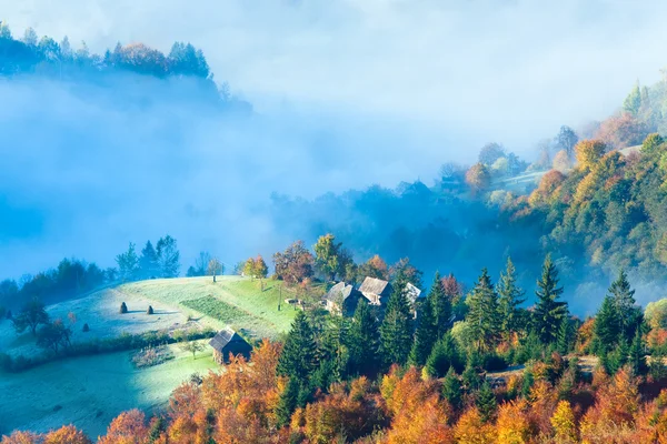Outono nebuloso manhã montanha — Fotografia de Stock
