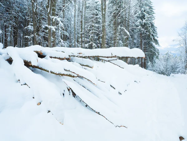 Snowbound winter earthroad — Stockfoto