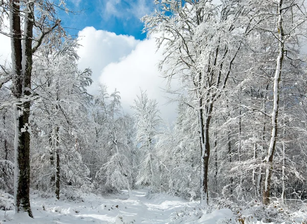 Garganta de invierno con nieve —  Fotos de Stock