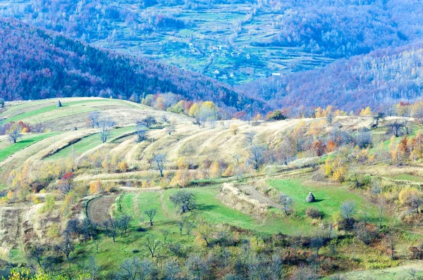 国の秋の風景 （カルパティア, ウクライナ). — ストック写真
