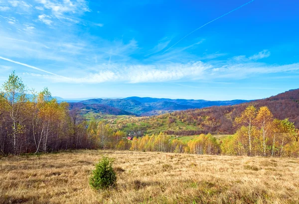 Herfst land landschap (Karpaten, Oekraïne). — Stockfoto