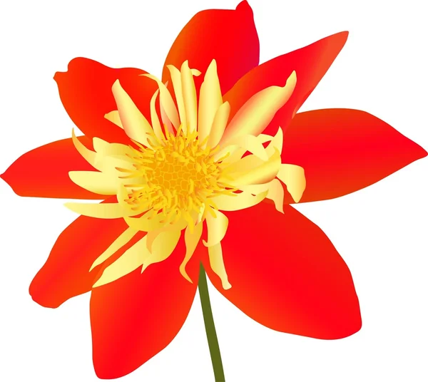 Flor roja — Archivo Imágenes Vectoriales