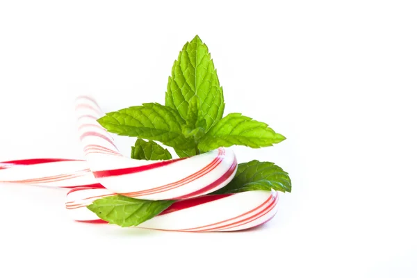Mint and candy canes — Stock Photo, Image