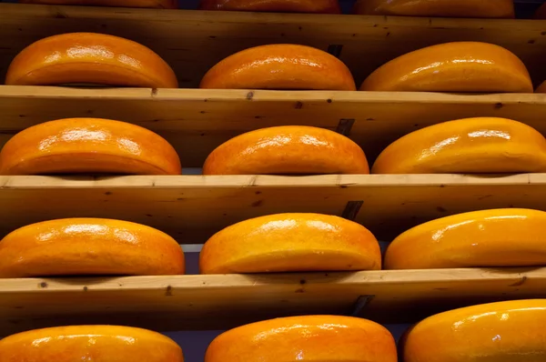 Porte-fromages en raffinage  . — Photo