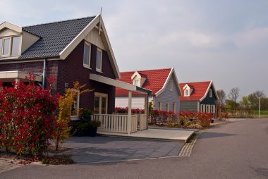 Hollanda evleri .