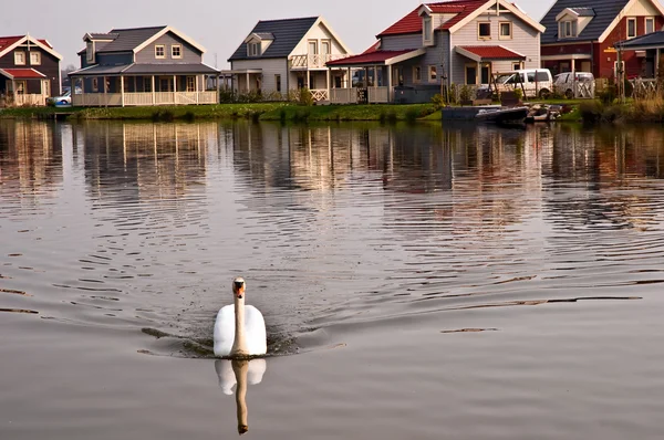 stock image Dutch houses .