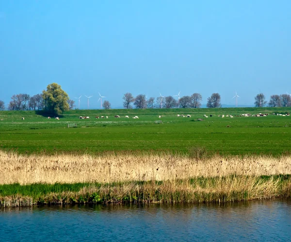 Голландский пейзаж  . — стоковое фото