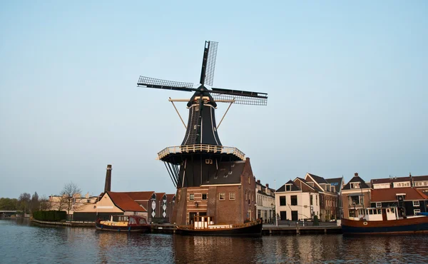 Windmills . — Stock Photo, Image