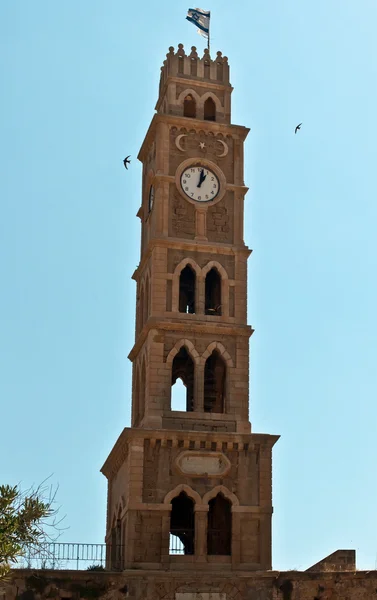 Torre del reloj . — Foto de Stock