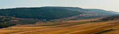 Panoramic rural landscape .