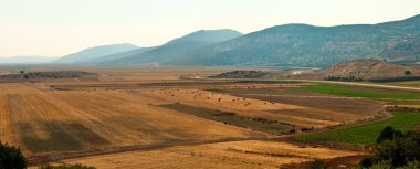 Panoramic rural landscape . clipart