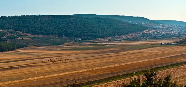 Panoramatické venkovské krajiny . — Stock fotografie