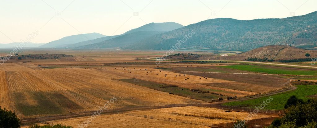 Panoramic rural landscape .