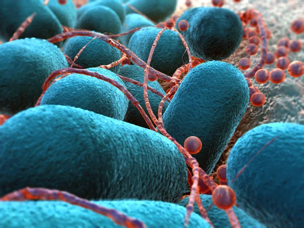 Escherichia coli bakterium — Fotografia de Stock