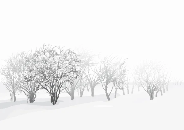 Paysage hivernal — Image vectorielle