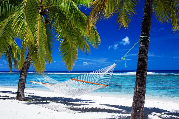 吊床之间热带海滩上的棕榈树 — 图库照片