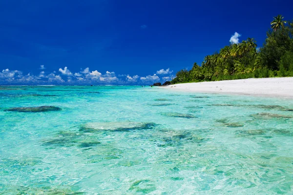 Ideale snorkelen strand met koraal en palm bomen — Stockfoto