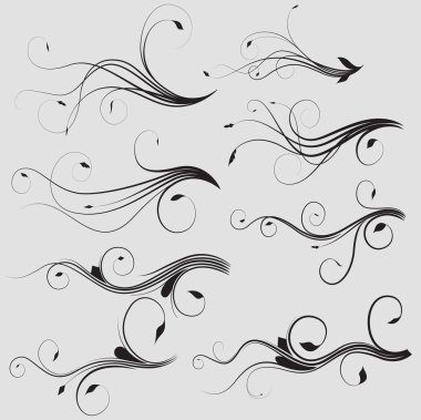 Decorative Flourishes Set clipart